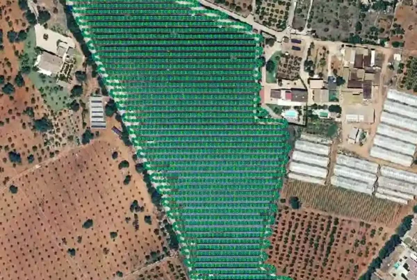 termografía mallorca dron